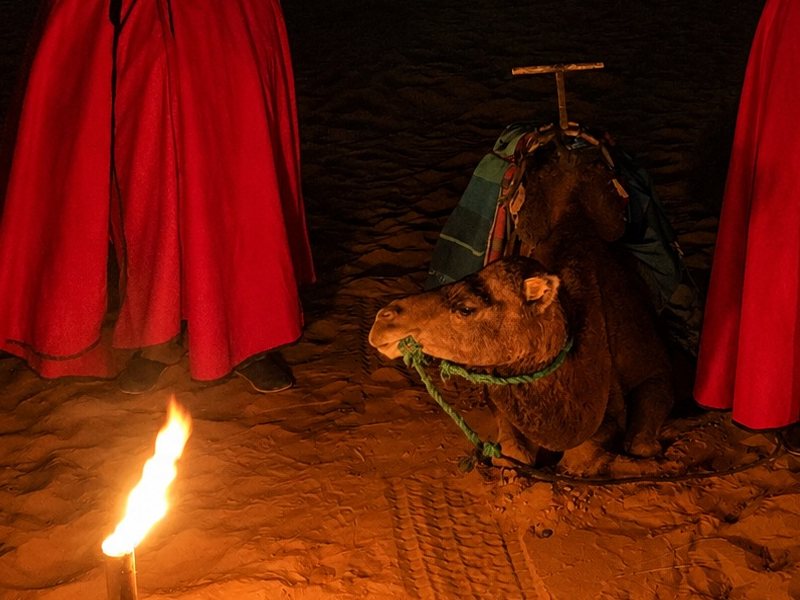 Los pajes reales esperando en la duna con una antorcha